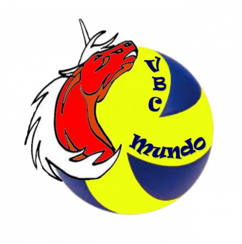 Logo Volley Mundo